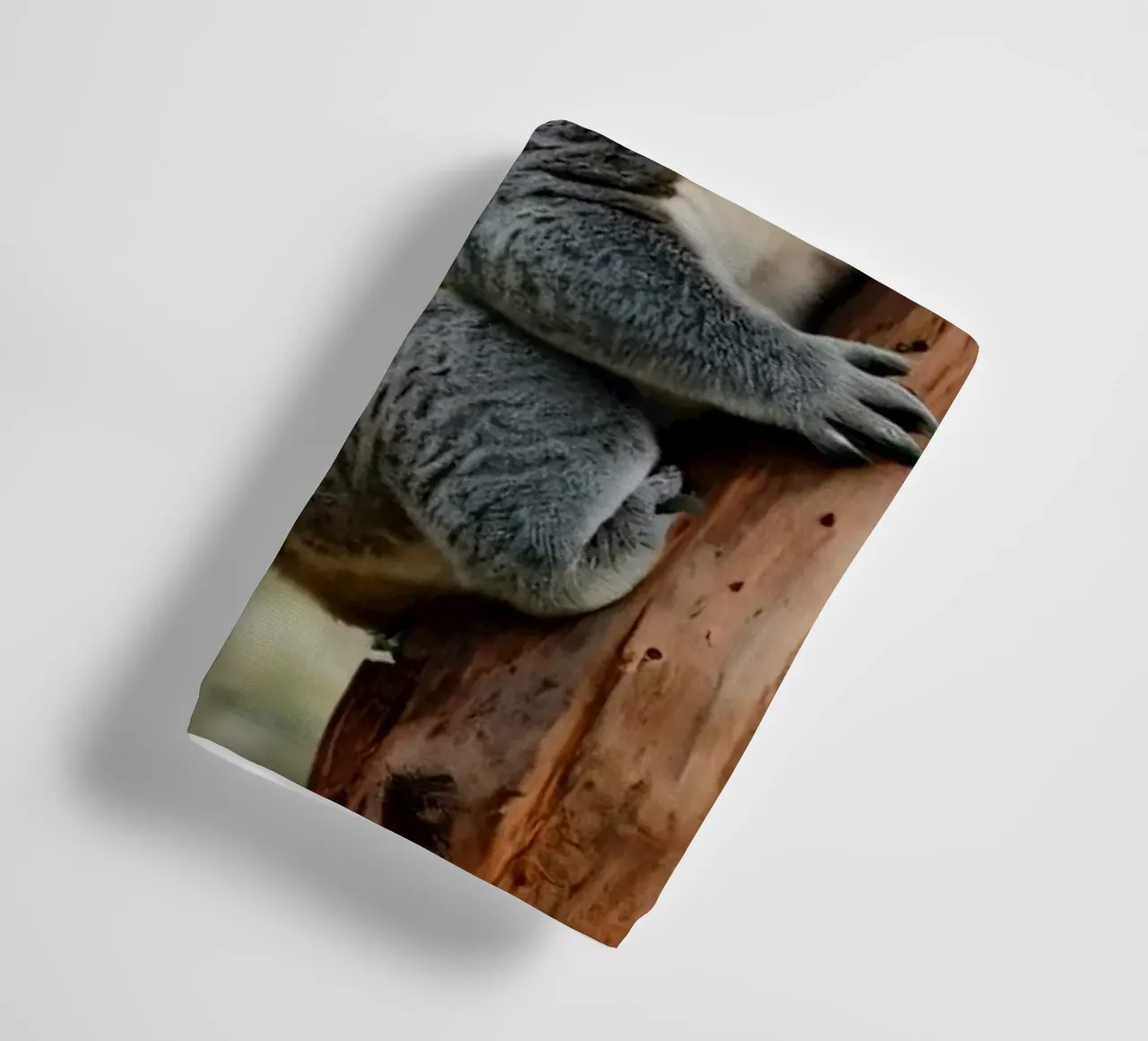 Koala climbing eucalyptus tree in its natural habitat during towel by DesignDoodle