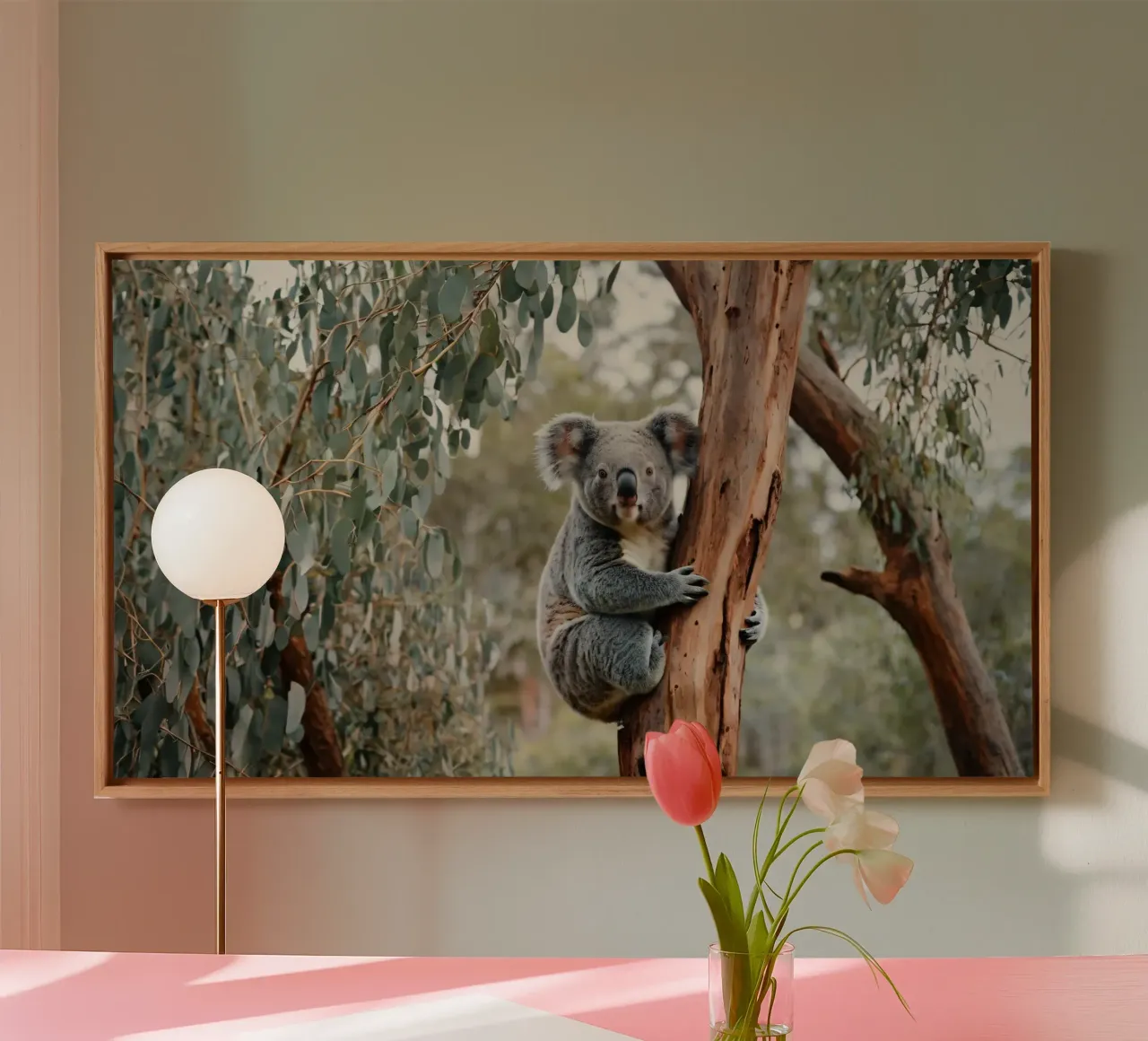 Koala climbing eucalyptus tree in its natural habitat during canvas with Floater frame by DesignDoodle