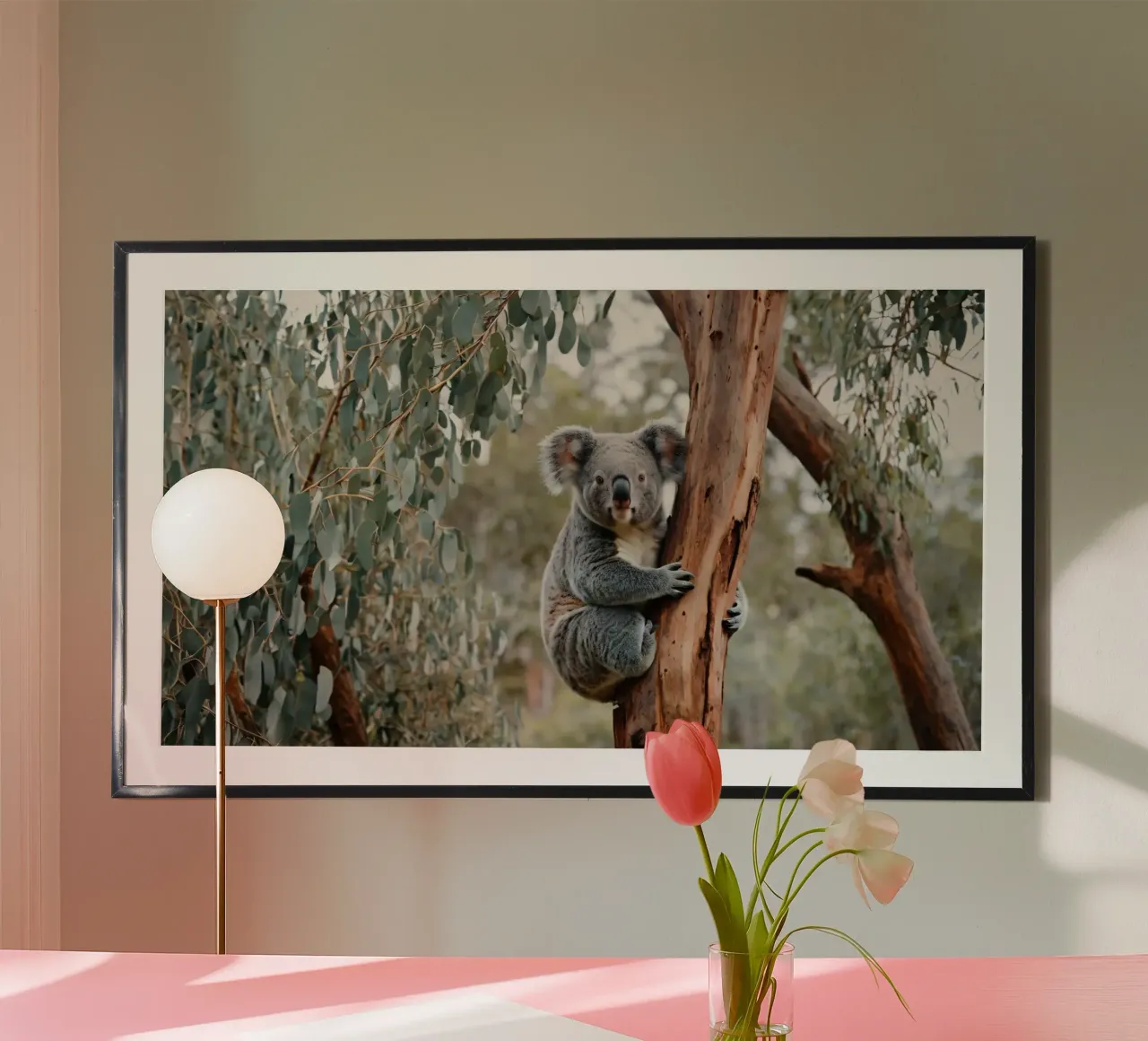 Koala grimpant à un eucalyptus dans son habitat naturel lors d'une visite à l'aéroport. poster avec cadre en plastique de DesignDoodle