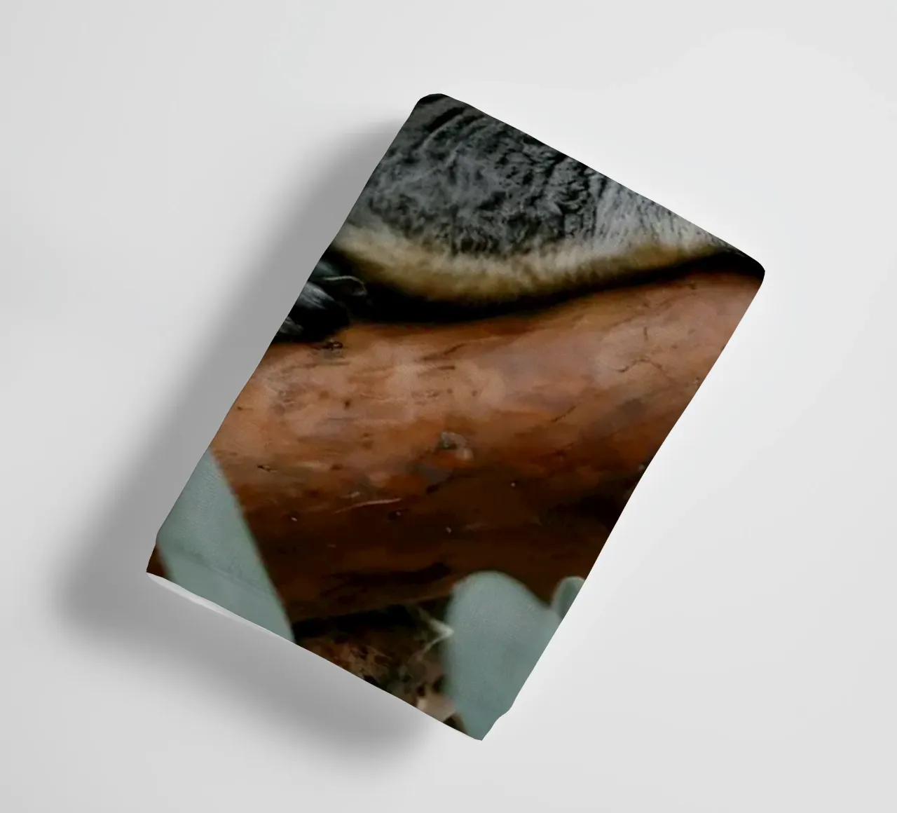 Two koalas resting together on a eucalyptus tree towel by DesignDoodle