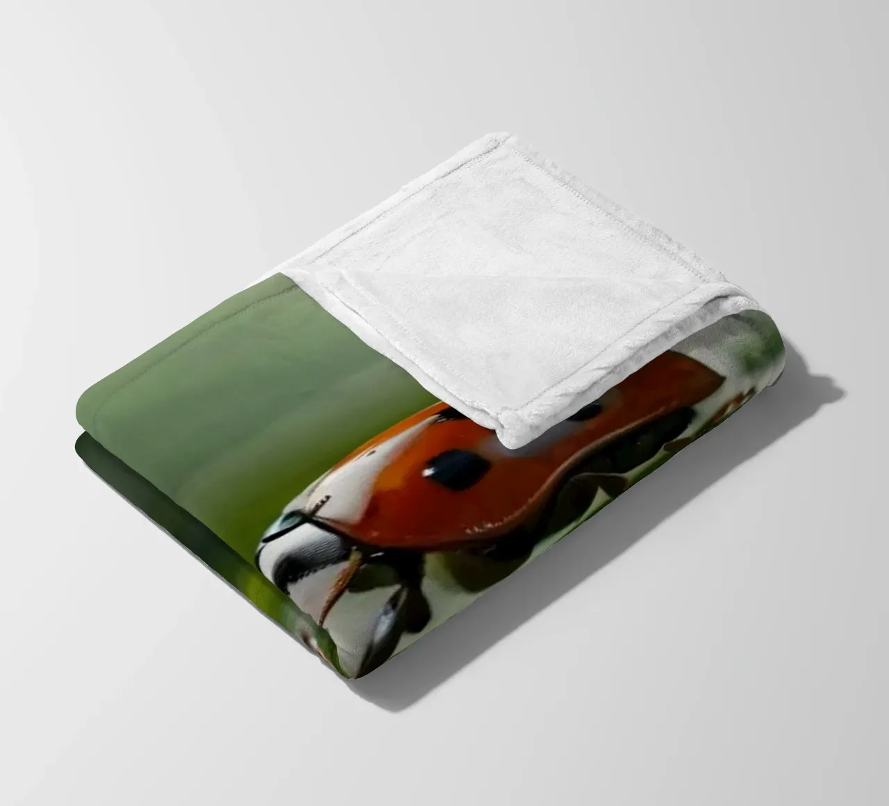 Coccinella che striscia su una foglia verde ornata di gocce d'acqua coperta in pile da DesignDoodle