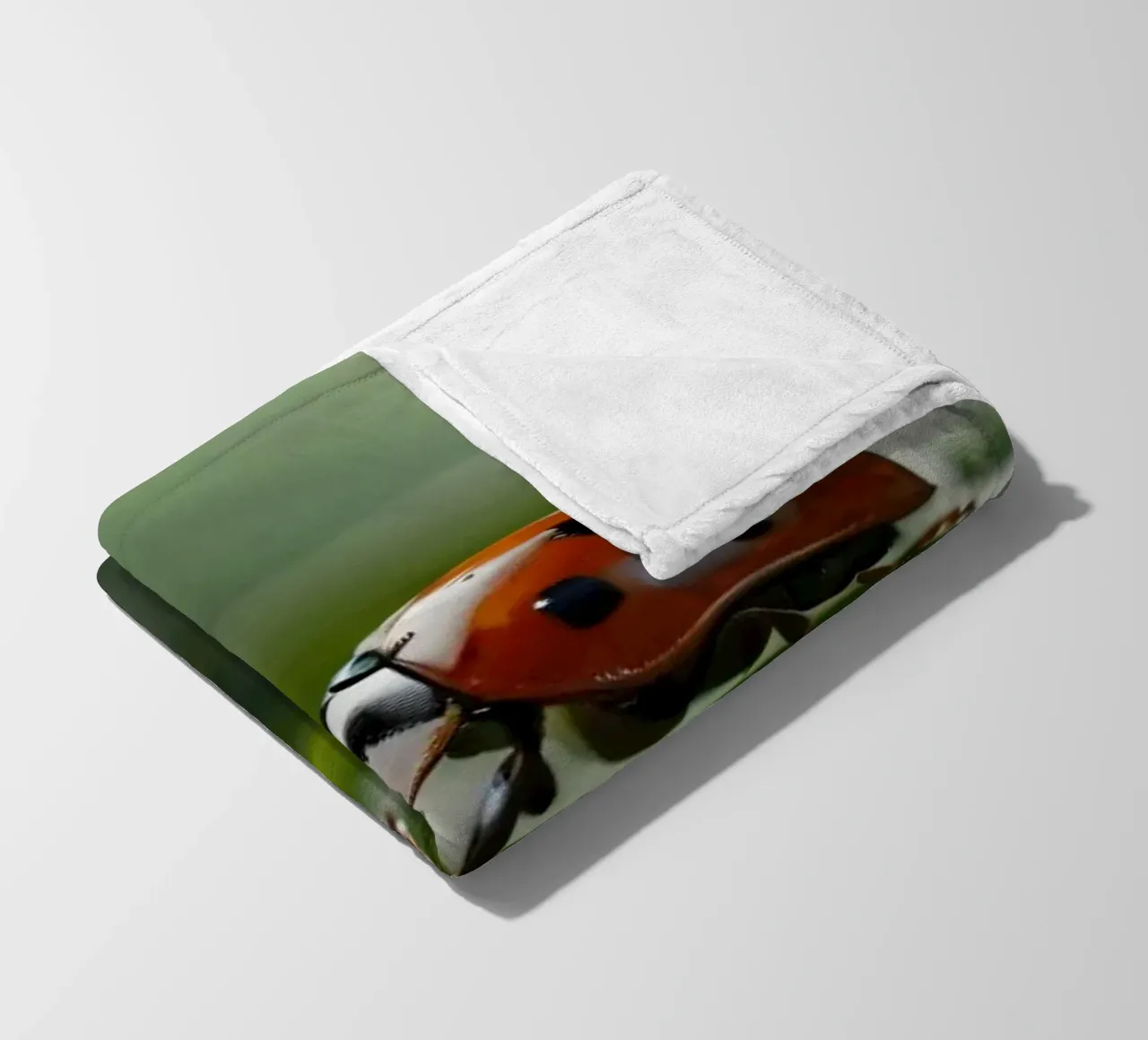 Coccinella che striscia su una foglia verde ornata di gocce d'acqua coperta in pile da DesignDoodle