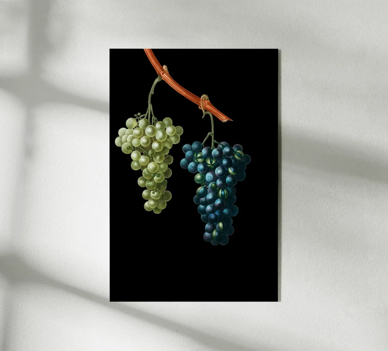 Wein Trauben plexiglass da Second Canvas