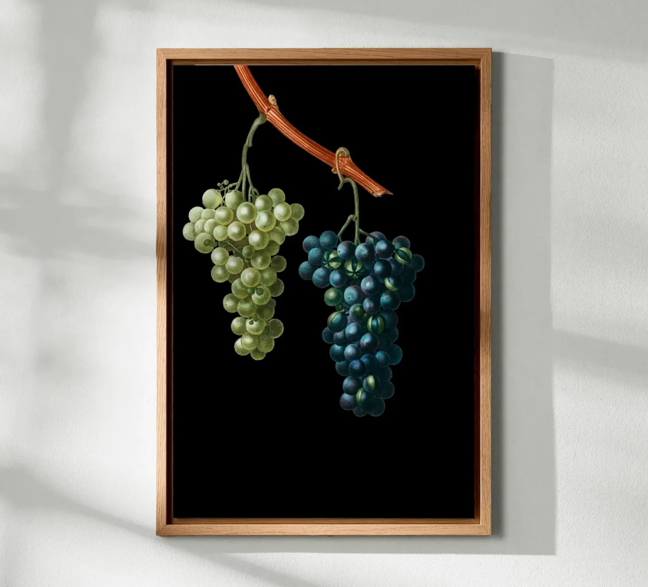 Wein Trauben tela da Second Canvas