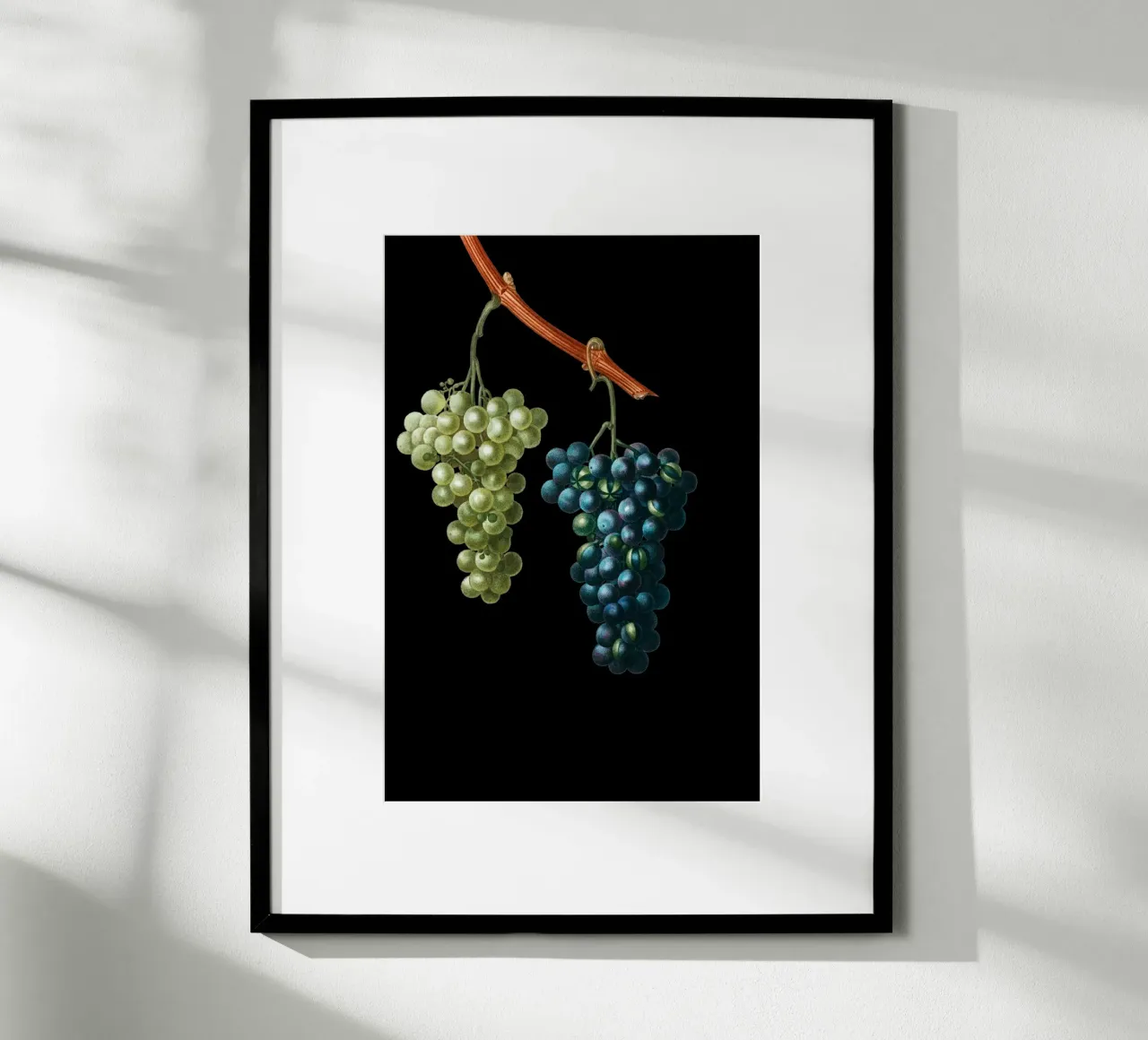 Wein Trauben poster da Second Canvas