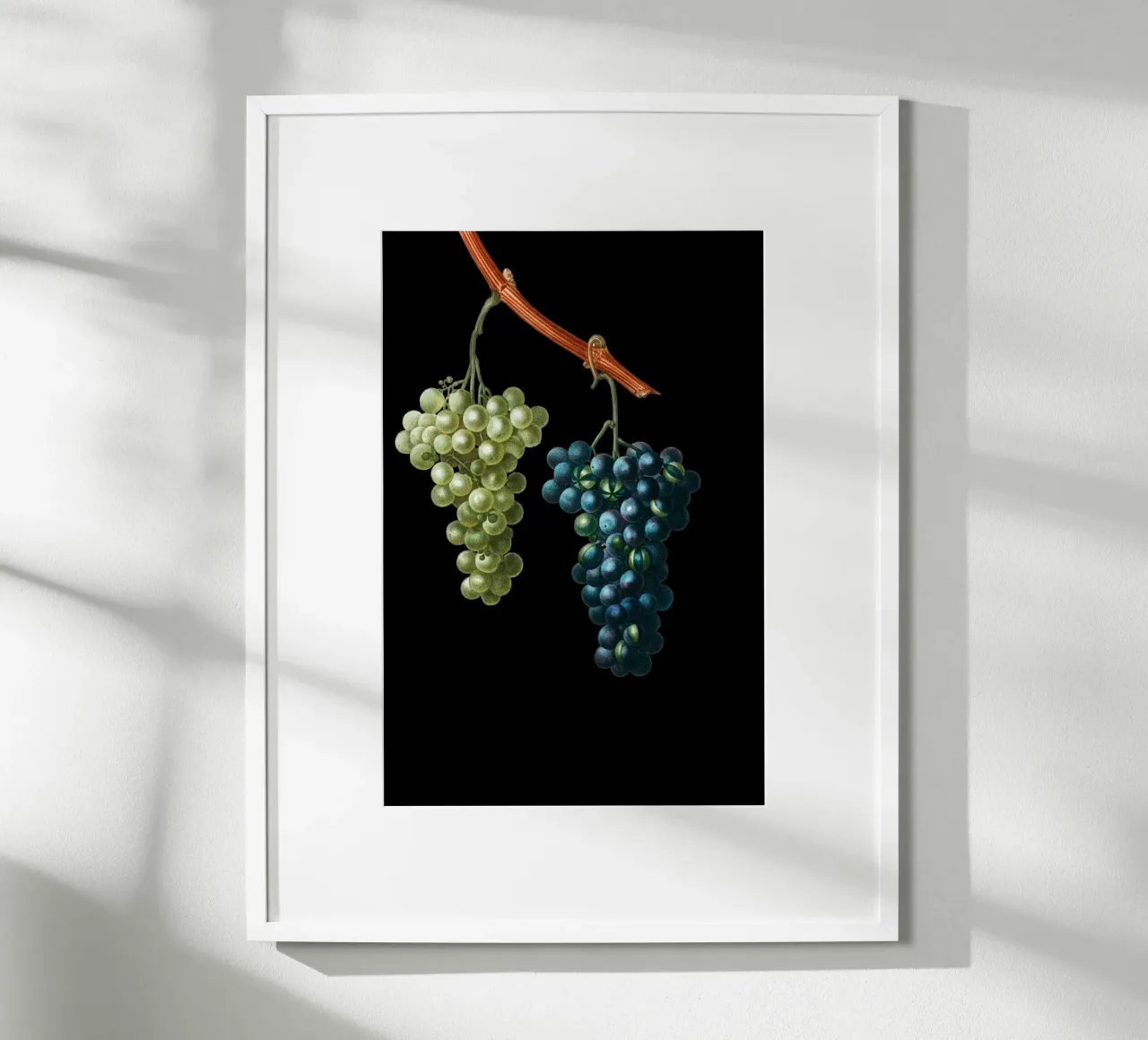 Wein Trauben carta hahnemühle da Second Canvas
