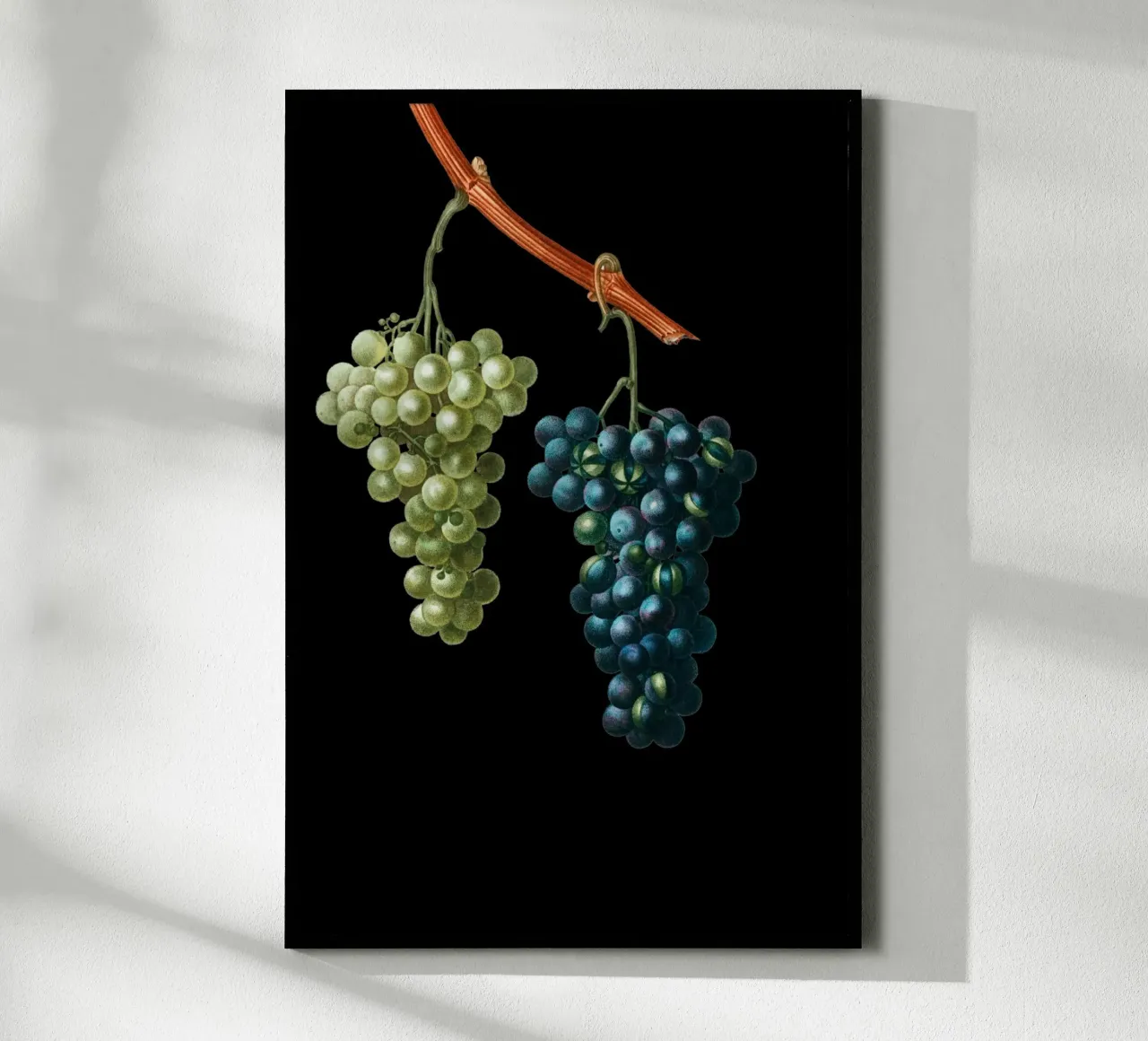 Wein Trauben carta hahnemühle da Second Canvas