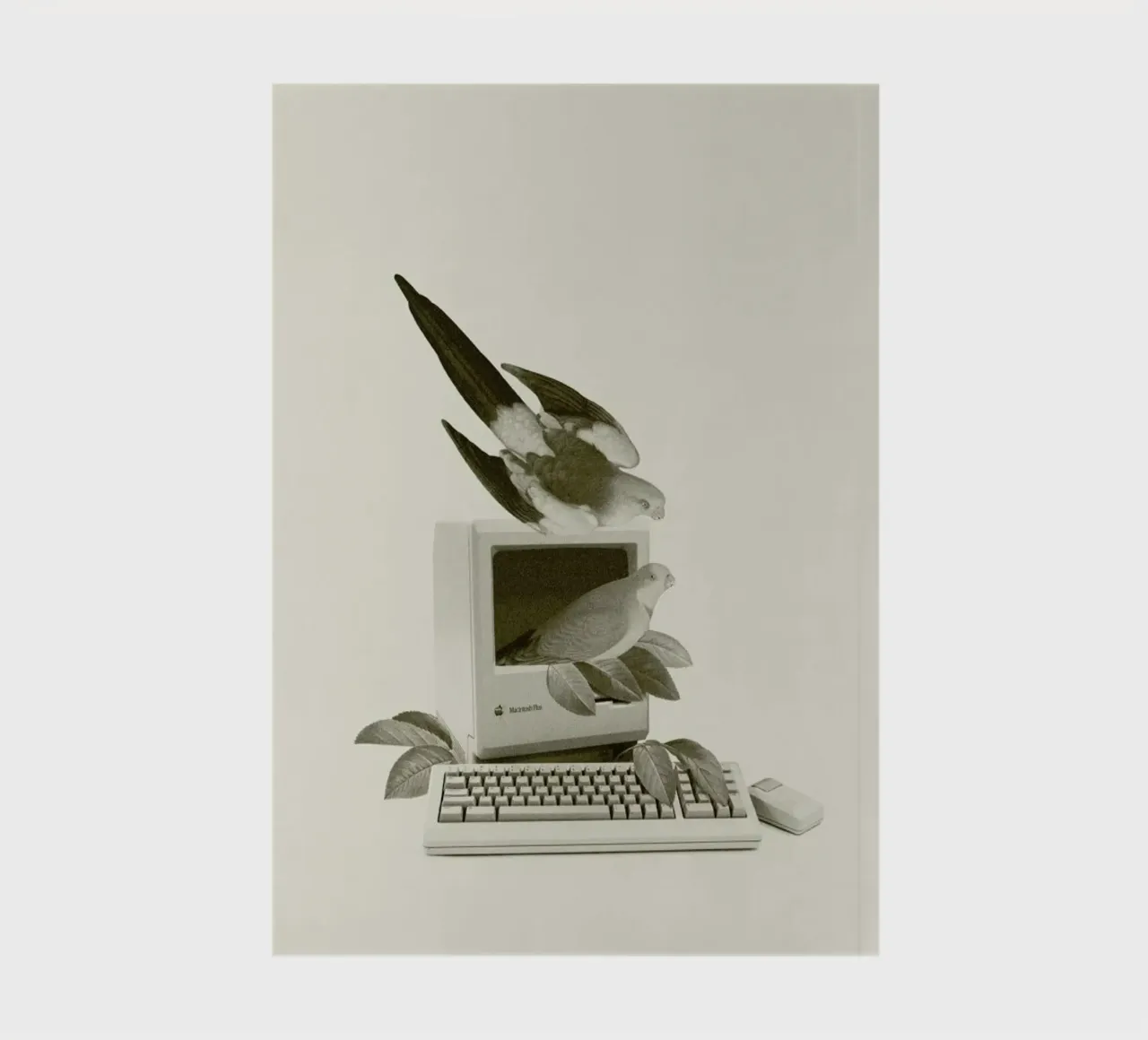 Nature Restores Itself notebook by Maarten Léon