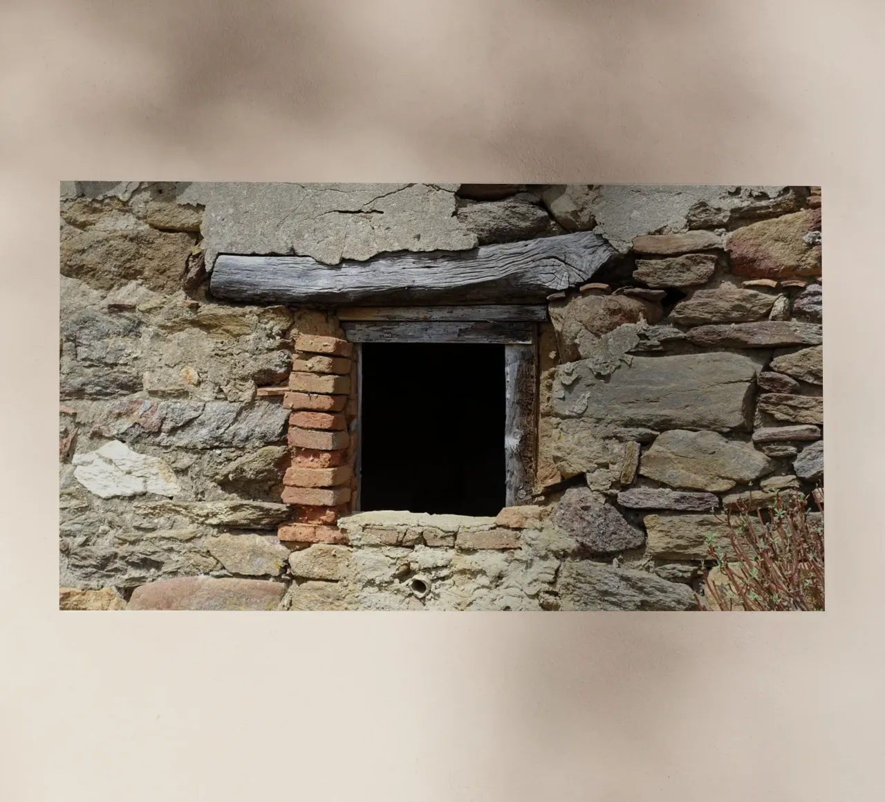 Window pellicola backlit da Massimo Frascogna