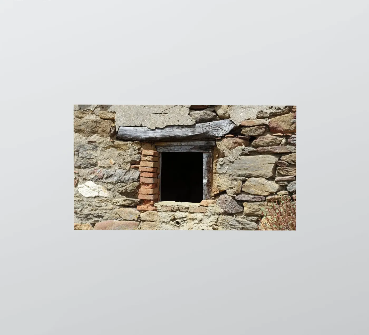 Fenster Sticker von Massimo Frascogna