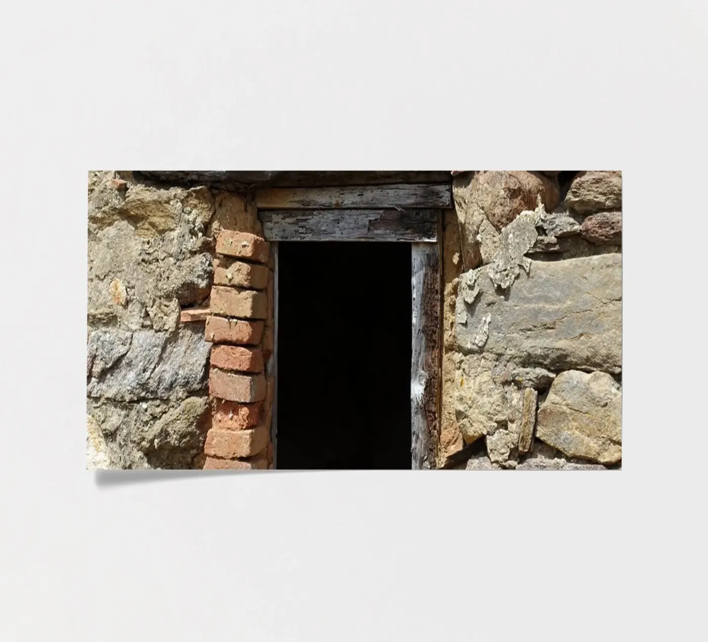 Window sticker sheet by Massimo Frascogna