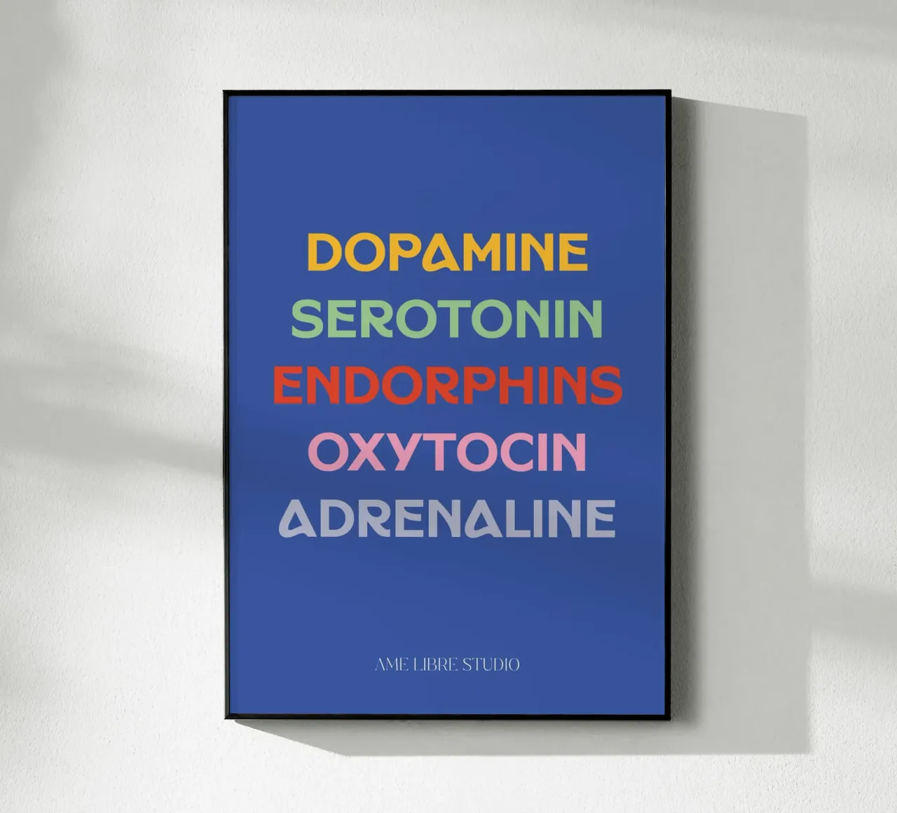 ๐๐ฟ๐ซ plexiglass da MENTHE SAUVAGE