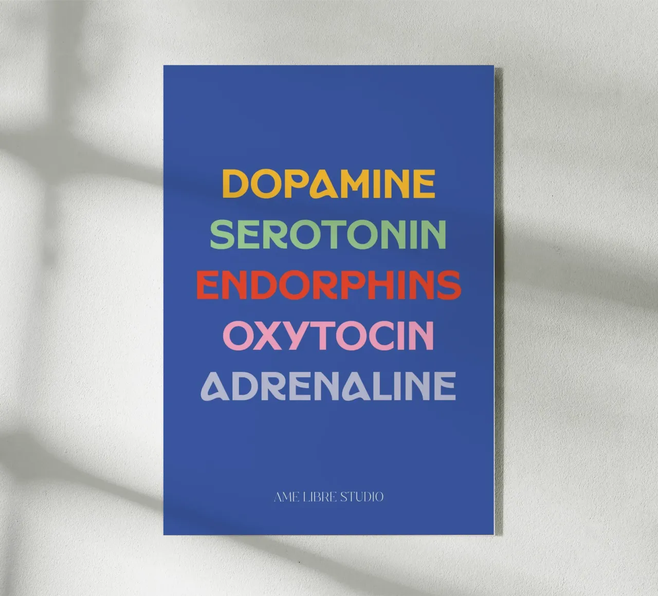 ๐๐ฟ๐ซ plexiglass da MENTHE SAUVAGE