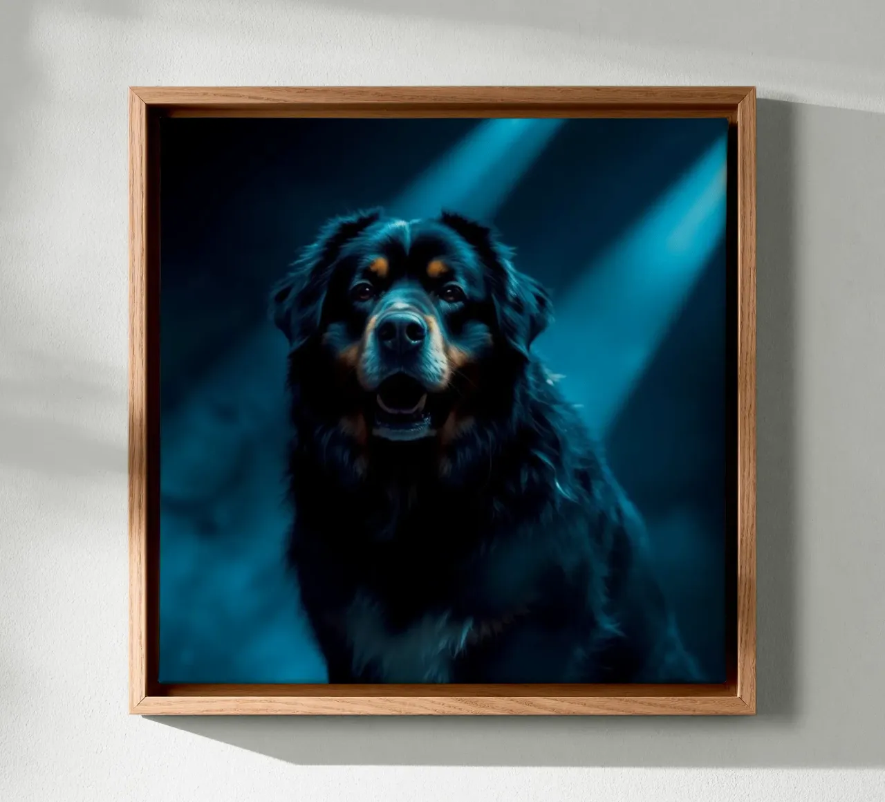Beautiful Bernese Mountain Dog #82 canvas with Floater frame by Yumis.Beargang.and.Me