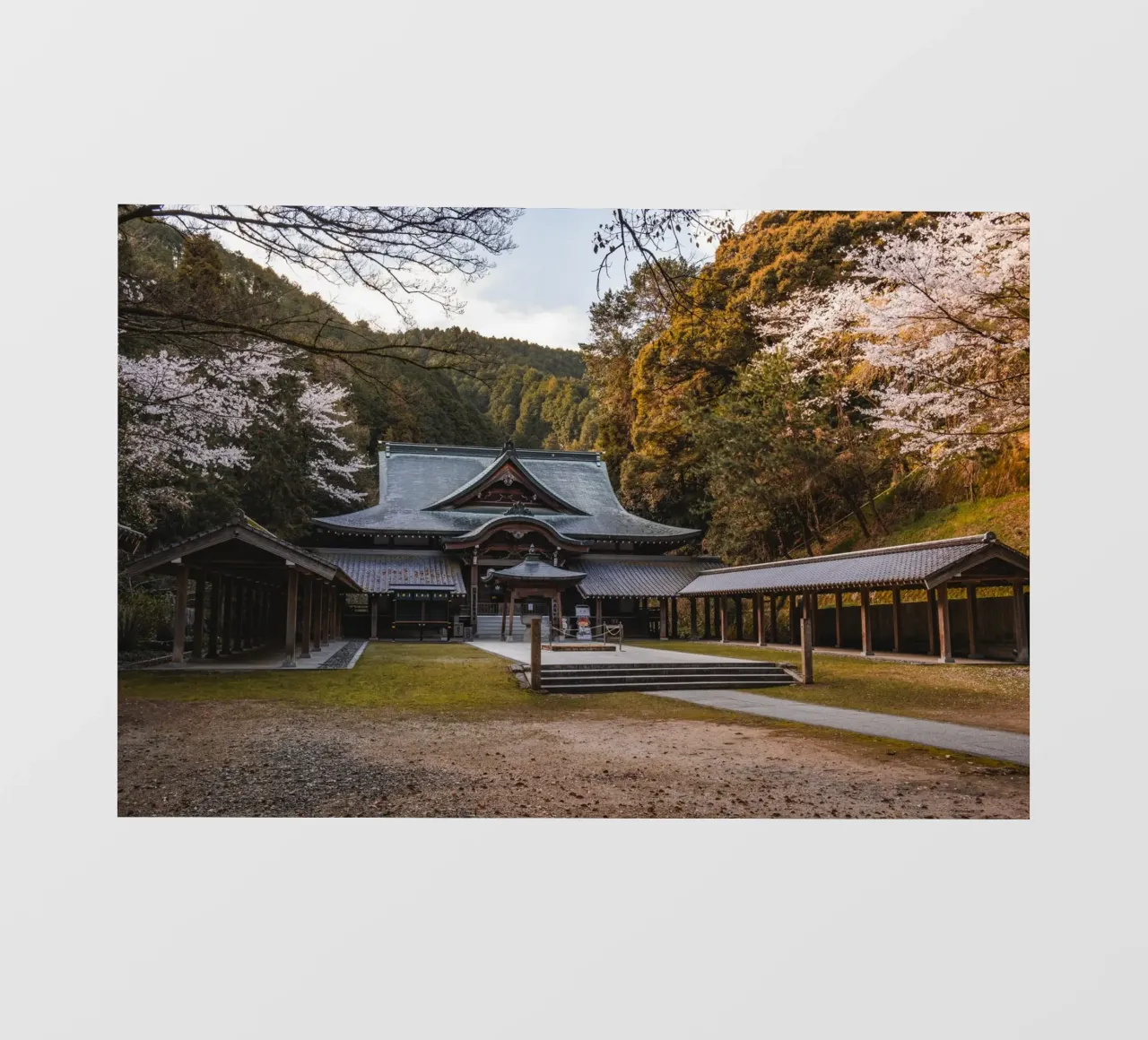 Gelassener Waldtempel in Shikoku, Japan Fototapete von Marcel Bisig