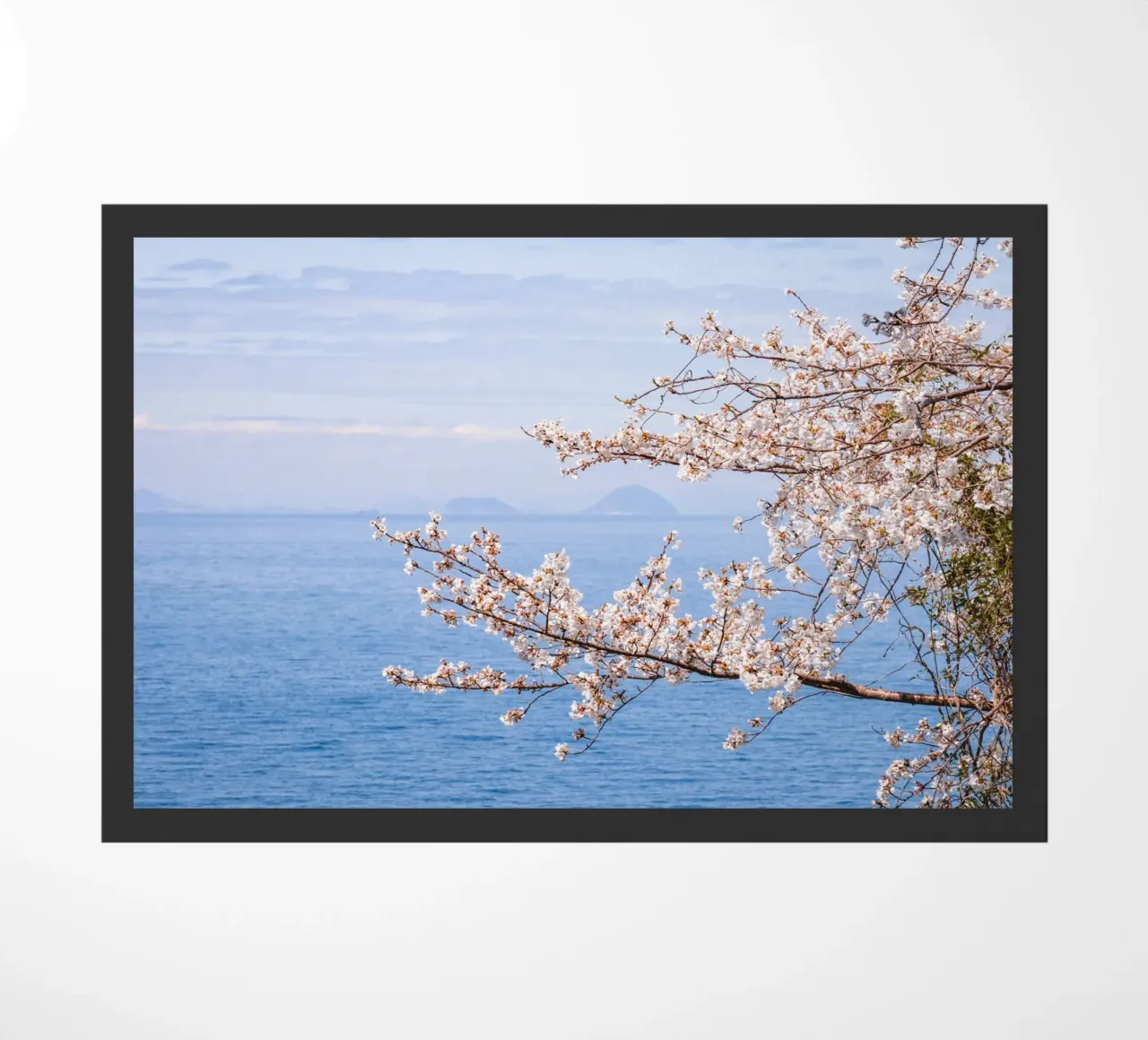 Fiori di ciliegio dell'oceano - Giappone zerbino da Marcel Bisig
