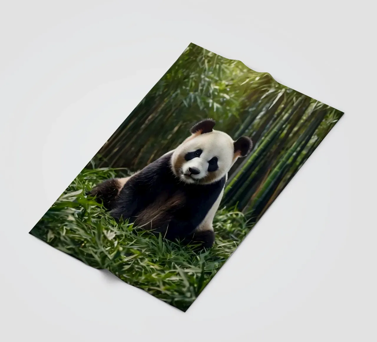 Panda ruht inmitten von üppigem Bambus in einem ruhigen Wald Fleecedecke von DesignDoodle