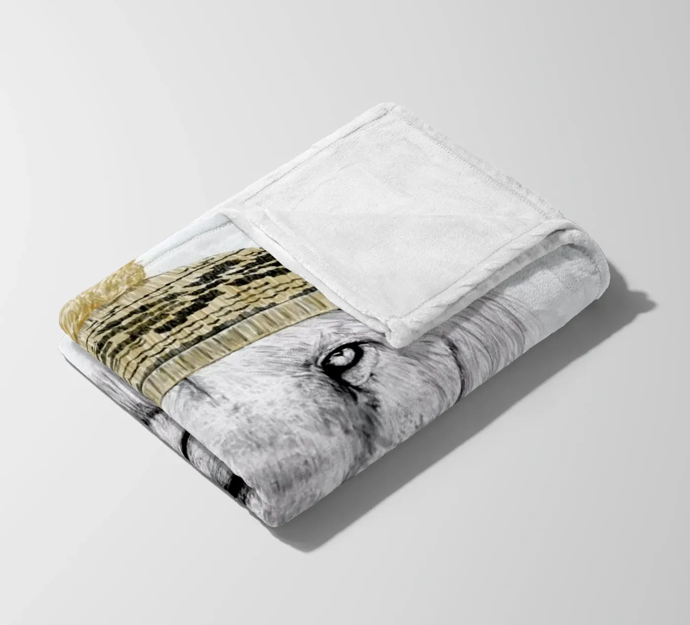 Winter is here coperta in pile da Balazs Solti