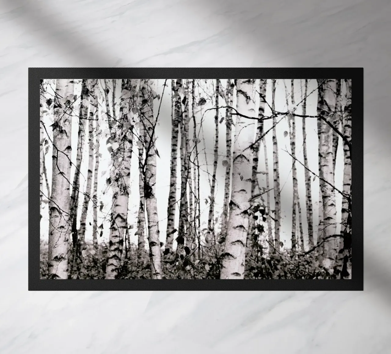 Winter Birches zerbino da Monika Strigel