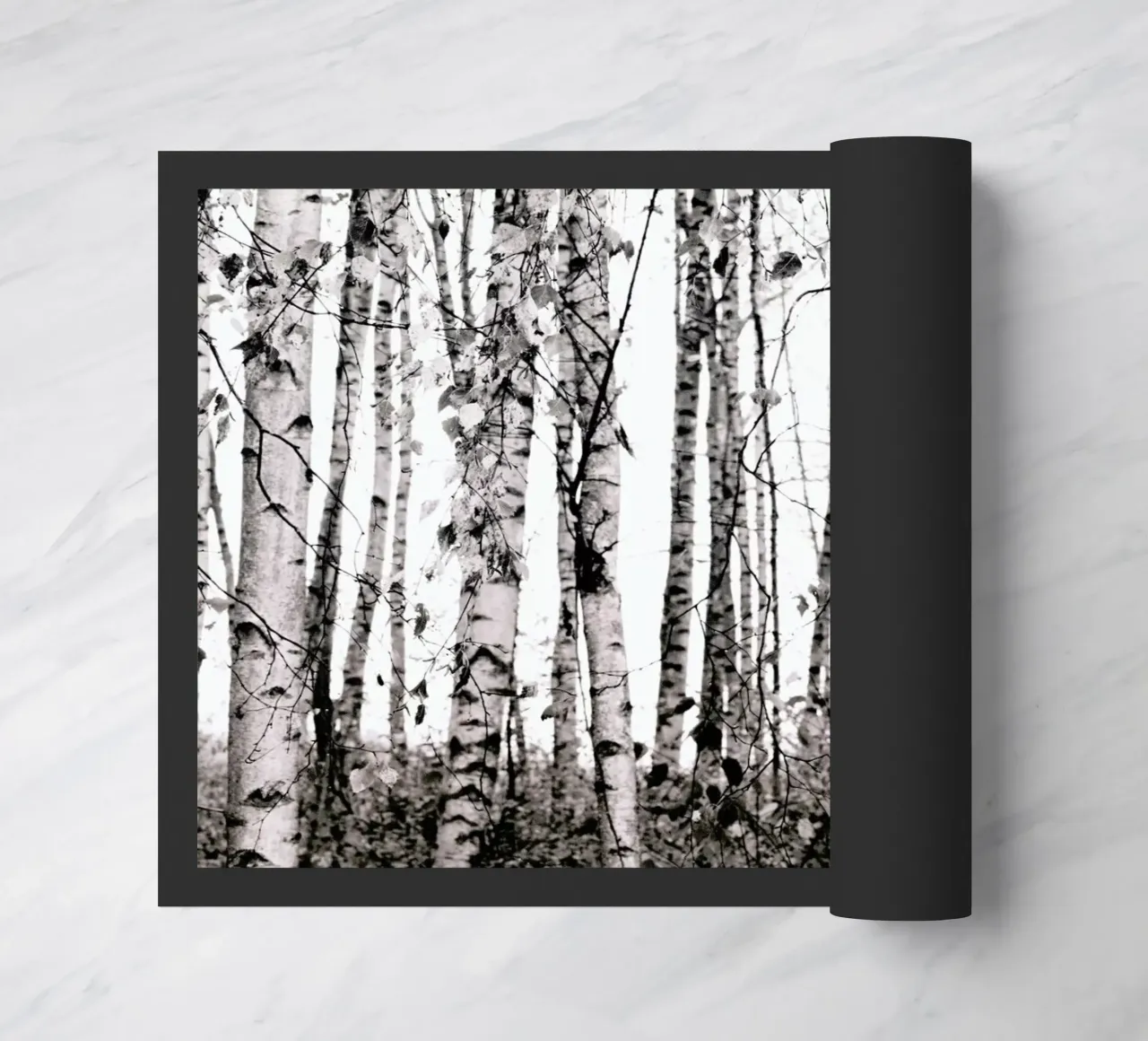 Winter Birches zerbino da Monika Strigel