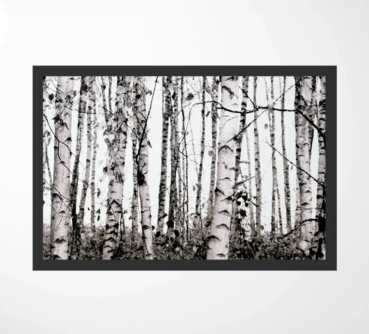 Winter Birches zerbino da Monika Strigel