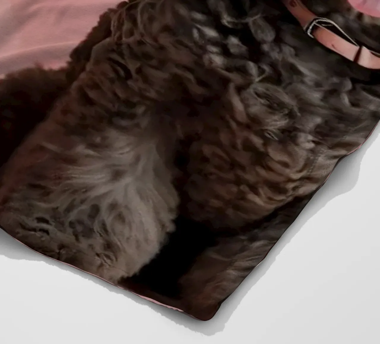 I barboncini siedono orgogliosi su uno sfondo colorato coperta in pile da DesignDoodle