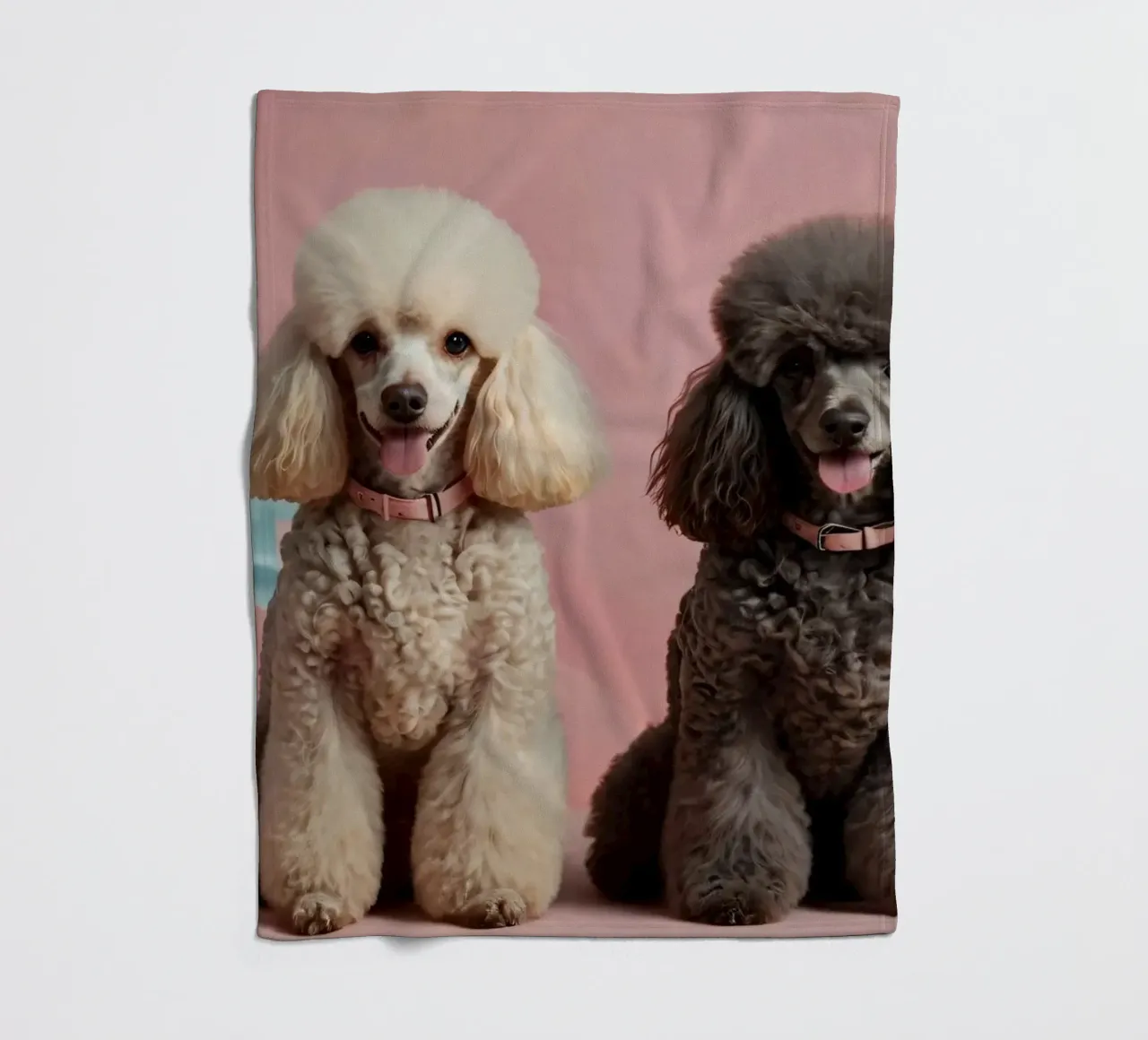 I barboncini siedono orgogliosi su uno sfondo colorato coperta in pile da DesignDoodle