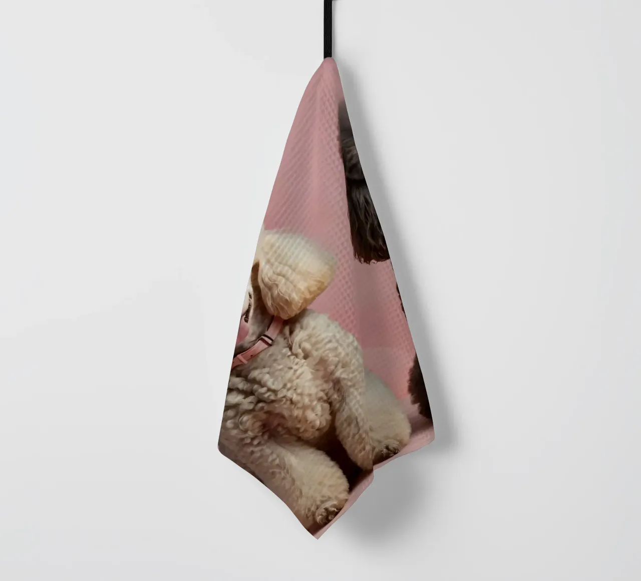 I barboncini siedono orgogliosi su uno sfondo colorato canovaccio da cucina da DesignDoodle