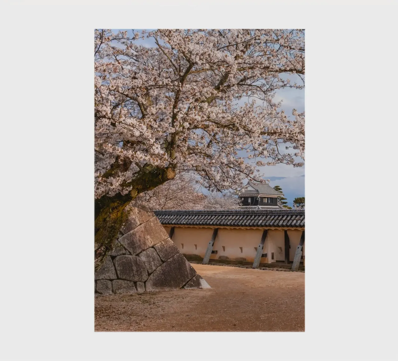 Caste Walls in Matsuyama, Japan notebook by Marcel Bisig