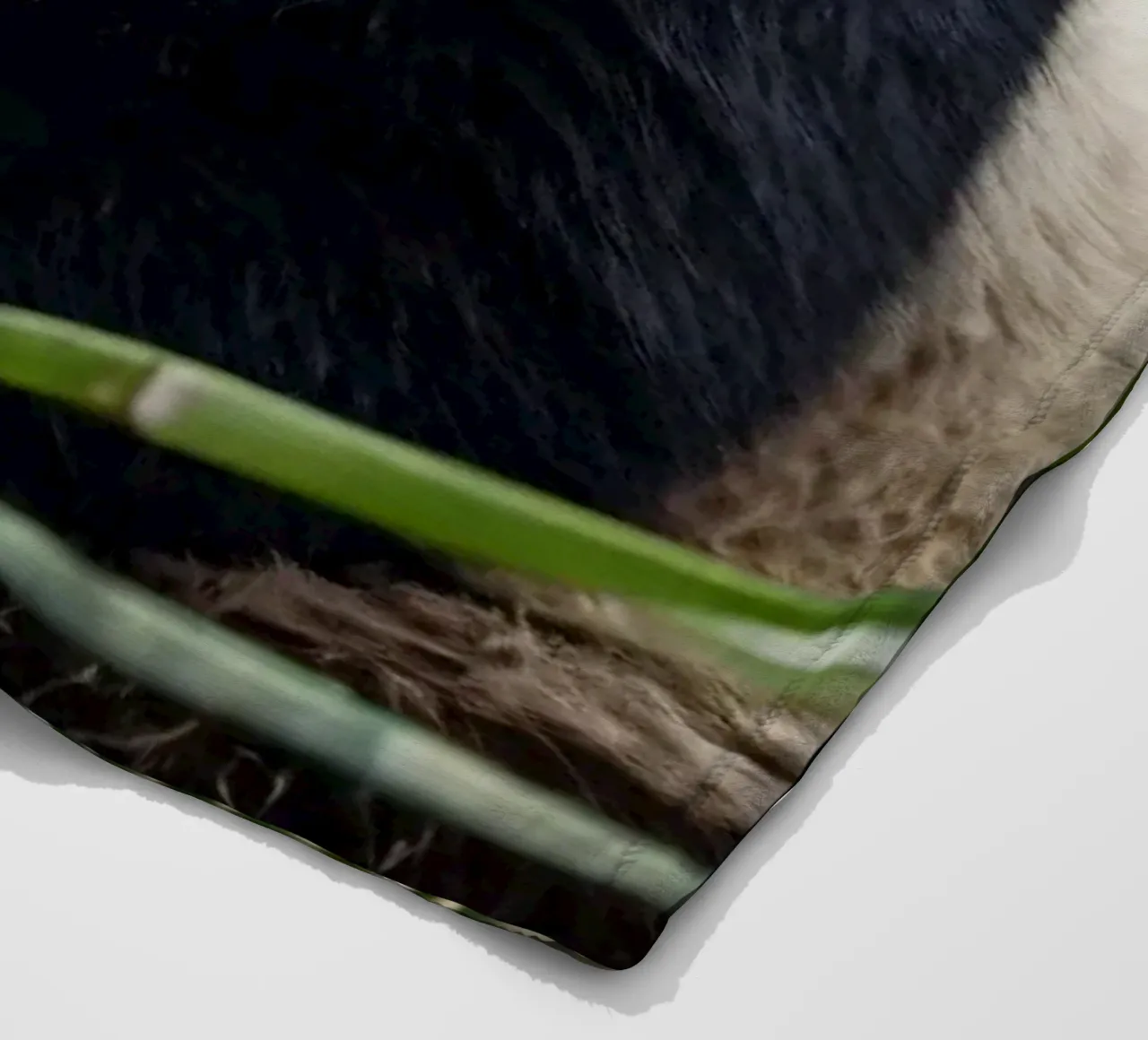 Un enorme panda riposa in un lussureggiante boschetto di bambù coperta in pile da DesignDoodle
