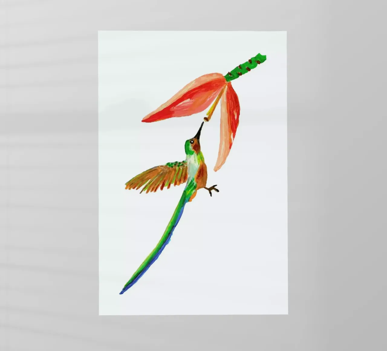 Hummingbird and Flower pellicola backlit da Femke Zwaan