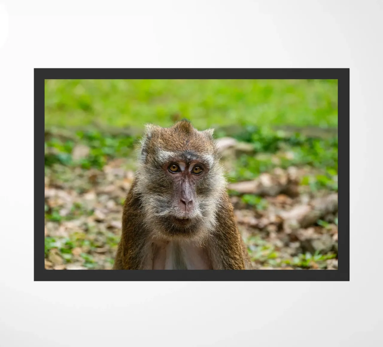 Portrait of a monkey in its natural environment doormat by anderm