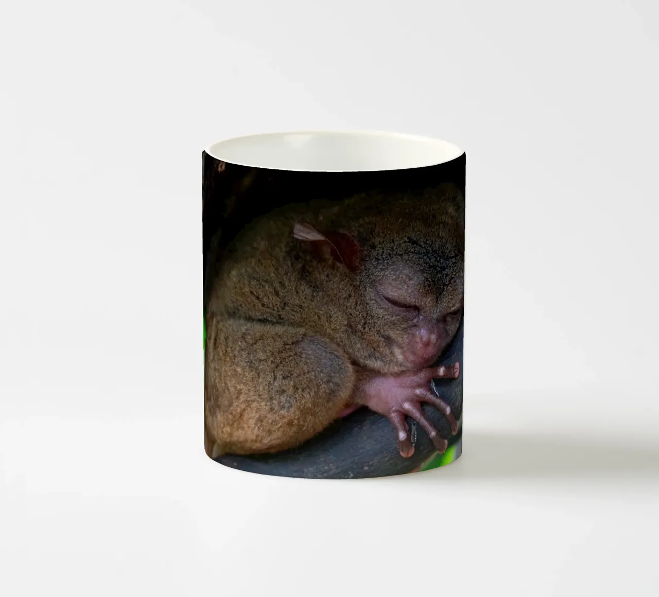 Tarsio in via di estinzione nel santuario di Bohol, Filippine tazza in ceramica da anderm