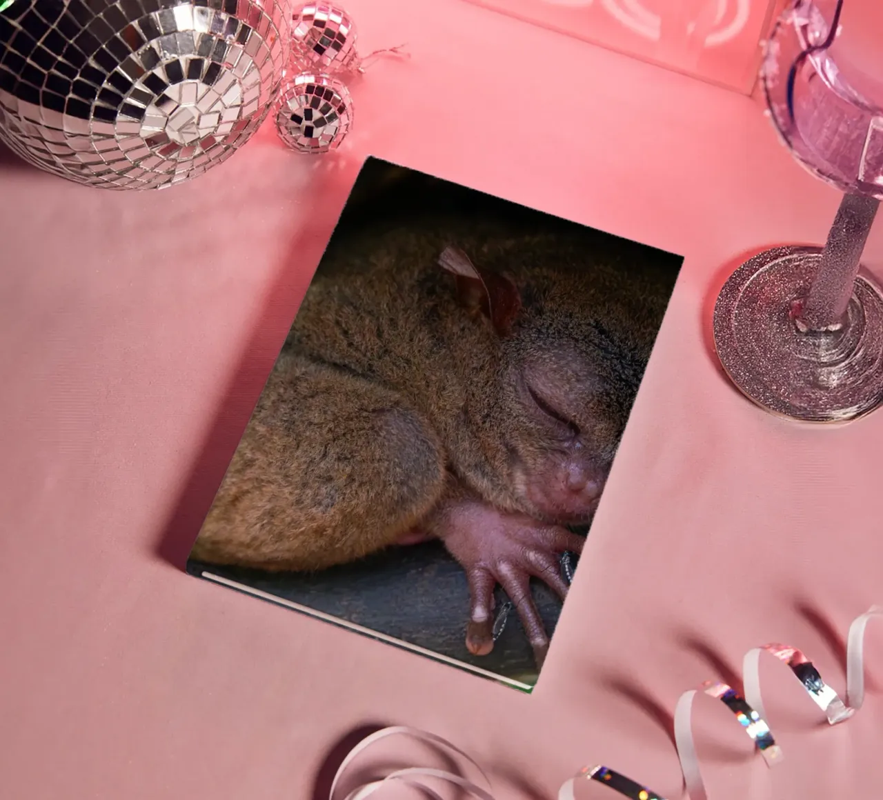 Tarsier en peligro de extinción en el santuario Bohol Tarsier, Filipinas cuaderno de anderm