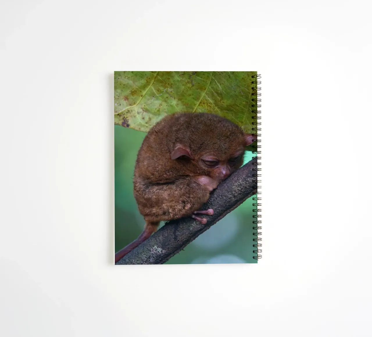 Endangered Tarsier in Bohol Tarsier sanctuary, Philippines spiral notebook by anderm