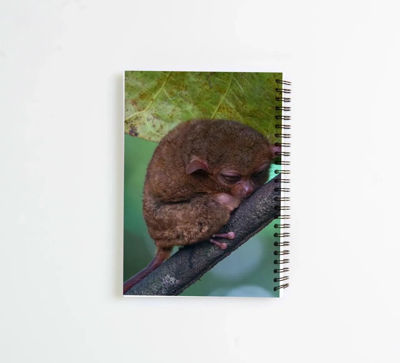 Endangered Tarsier in Bohol Tarsier sanctuary, Philippines spiral notebook by anderm