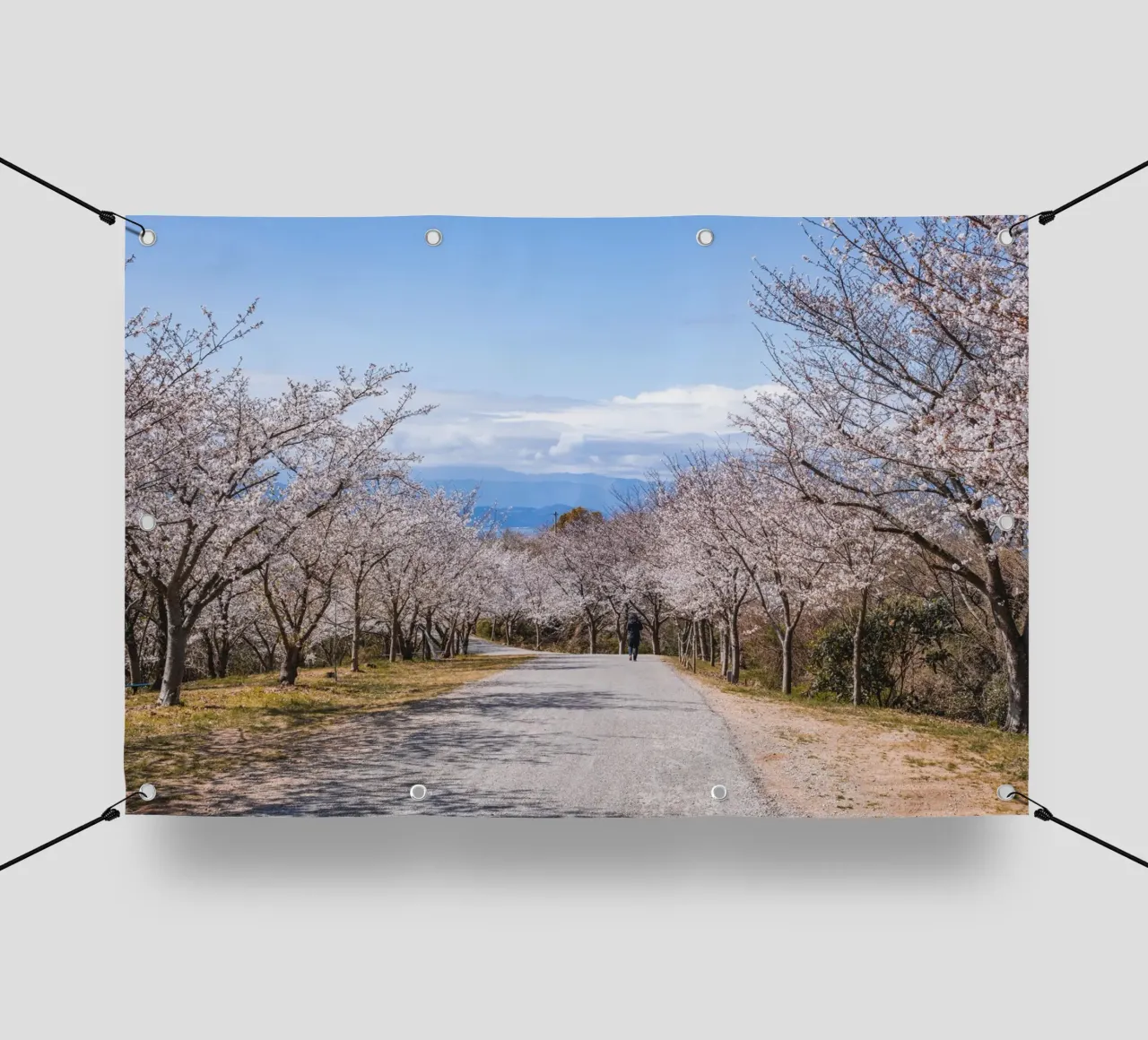 La strada dei ciliegi in fiore - Shikoku, Giappone telo in pvc da Marcel Bisig