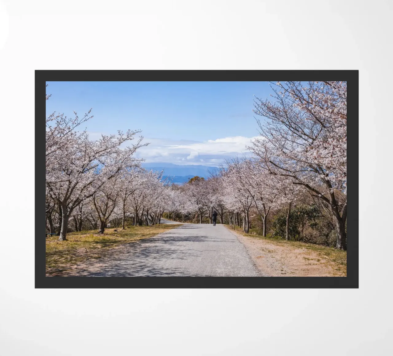 La strada dei ciliegi in fiore - Shikoku, Giappone zerbino da Marcel Bisig