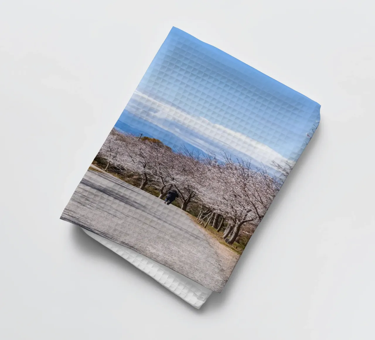 La strada dei ciliegi in fiore - Shikoku, Giappone canovaccio da cucina da Marcel Bisig