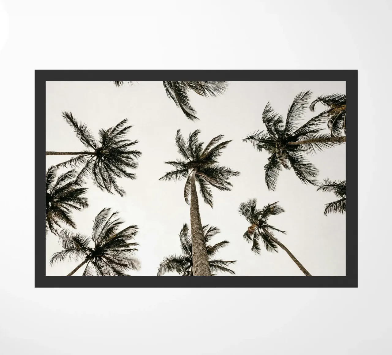 Beach Palms zerbino da treechild