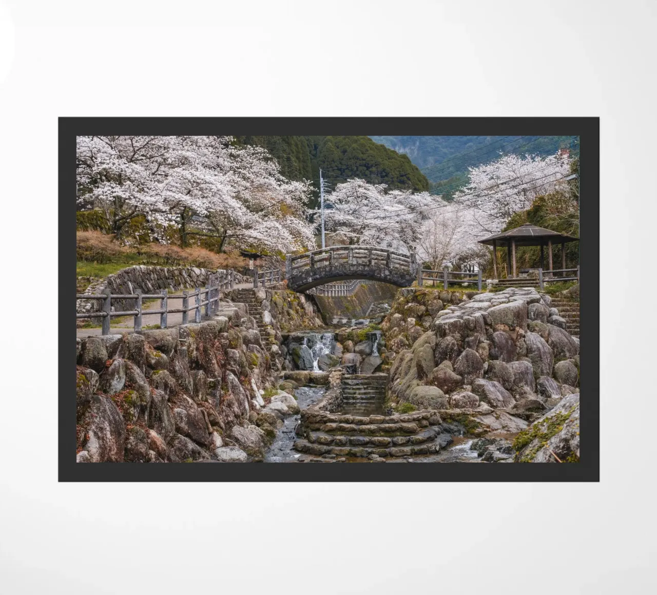 Cascate di ciliegi in fiore - Kyushu, Giappone zerbino da Marcel Bisig