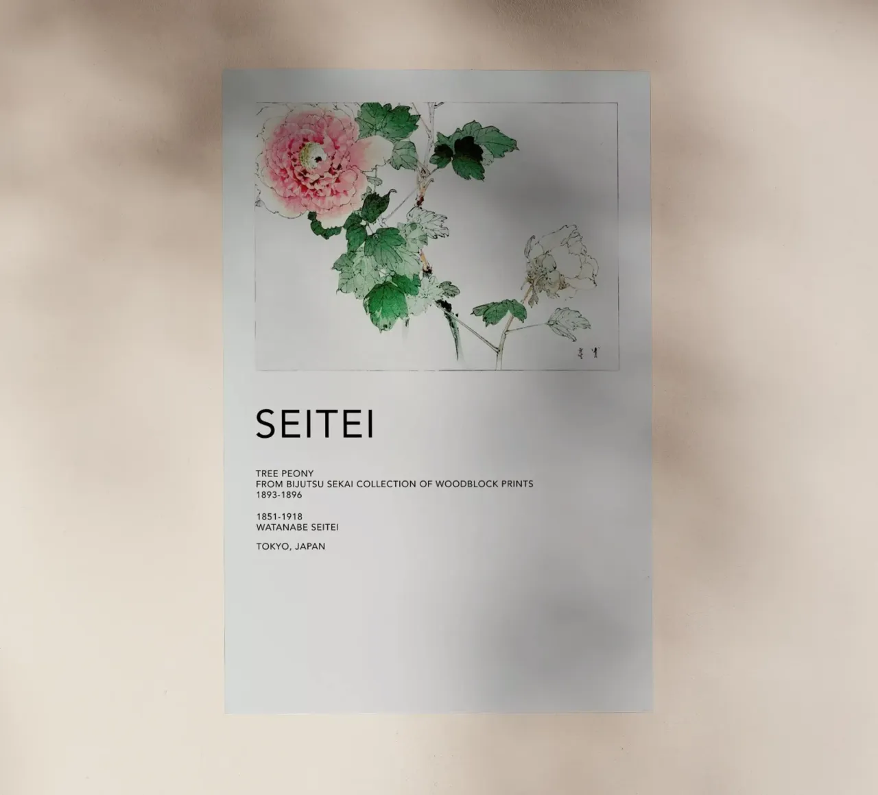 Seitei - Tree Peony pellicola backlit da Vintage by JUNIQE