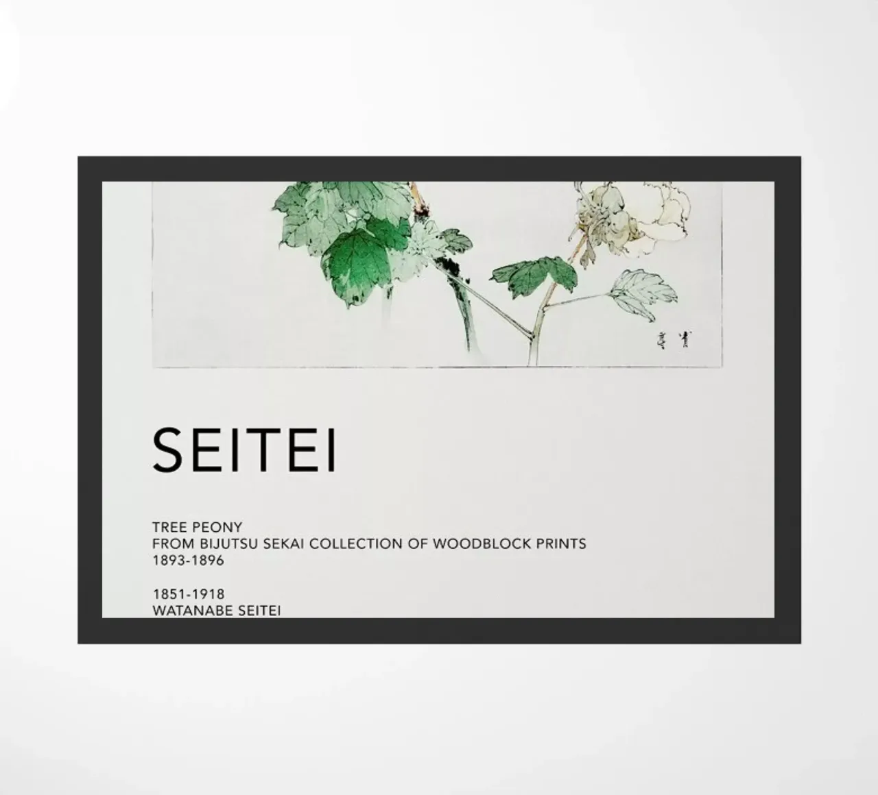 Seitei - Tree Peony zerbino da Vintage by JUNIQE