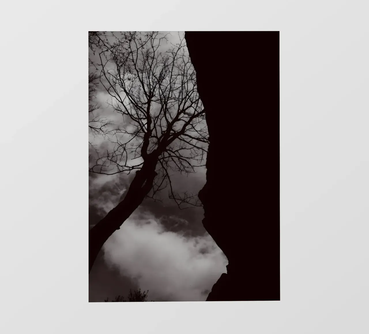 Albero nodoso in una silhouette drammatica pellicola backlit da NA/MO
