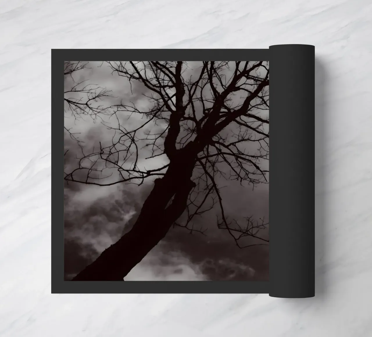 Albero nodoso in una silhouette drammatica zerbino da NA/MO