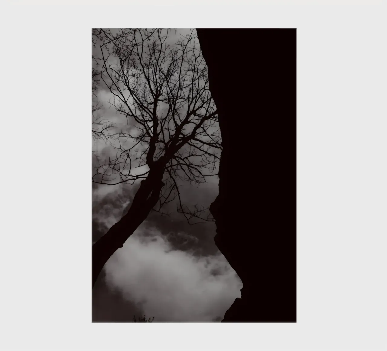 Albero nodoso in una silhouette drammatica diario da NA/MO