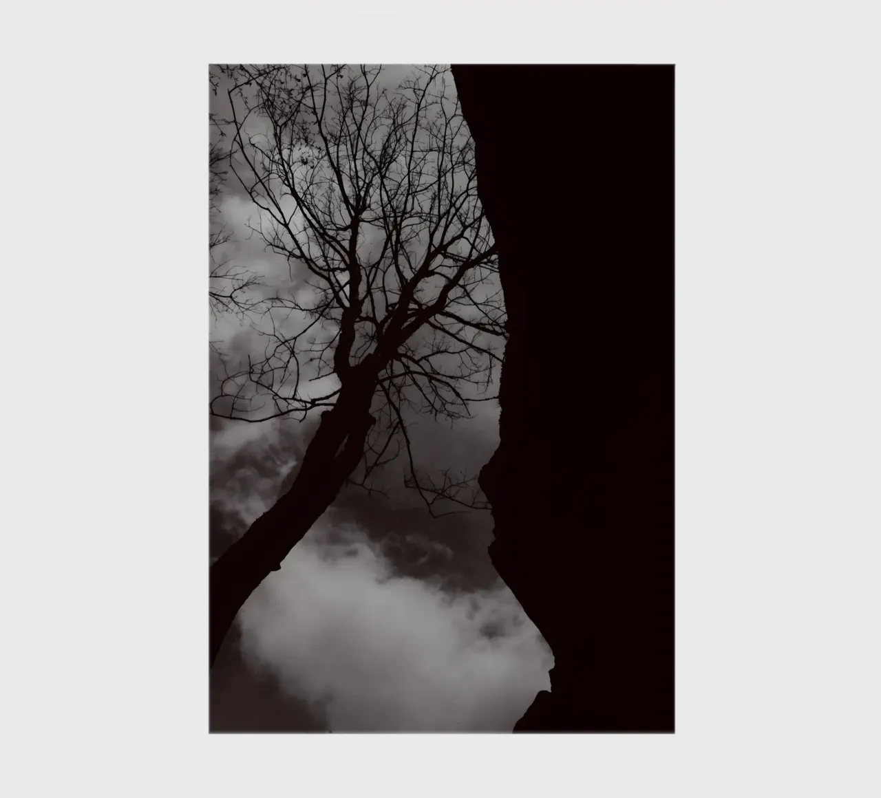 Albero nodoso in una silhouette drammatica diario da NA/MO