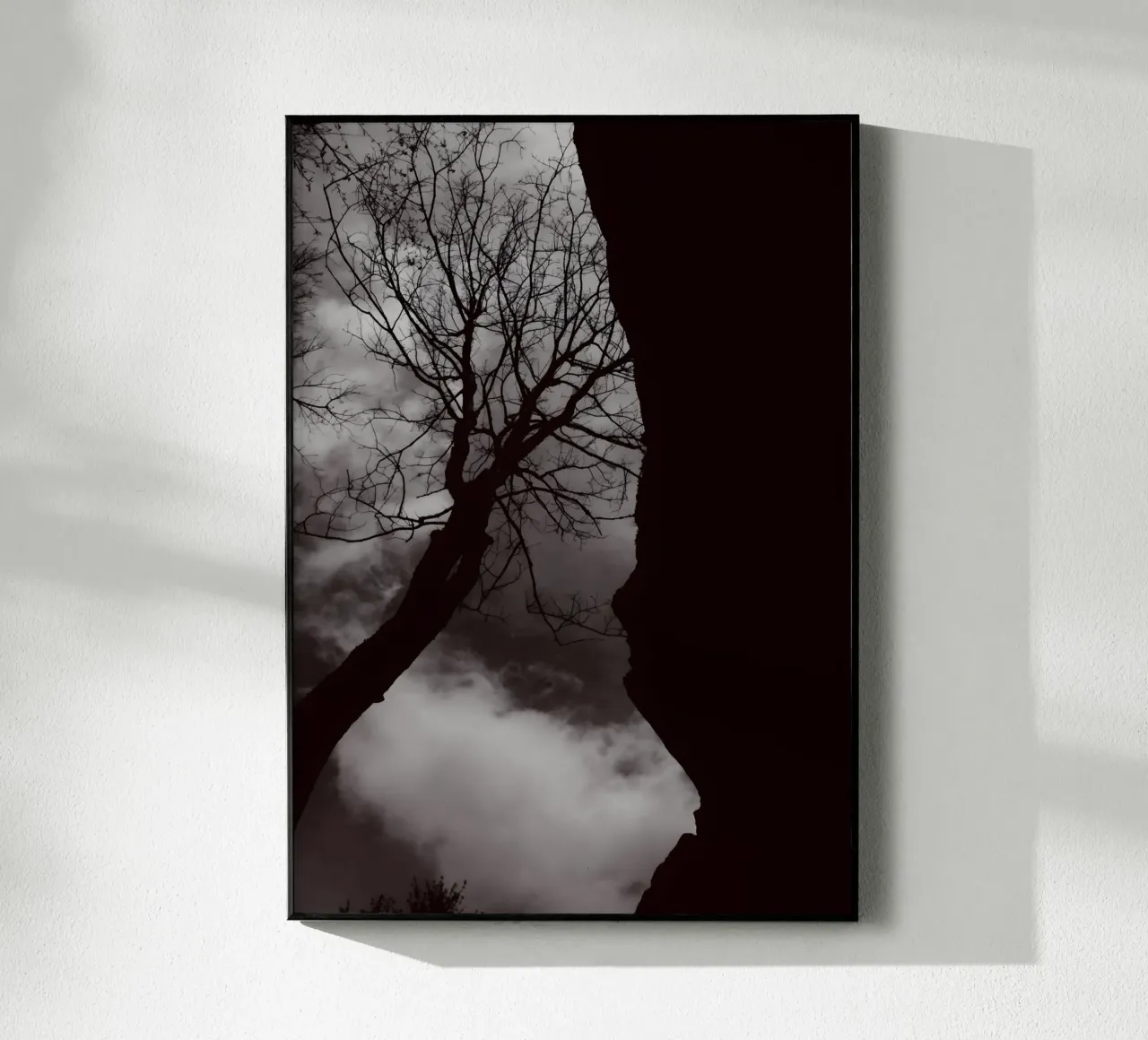 Albero nodoso in una silhouette drammatica plexiglass da NA/MO