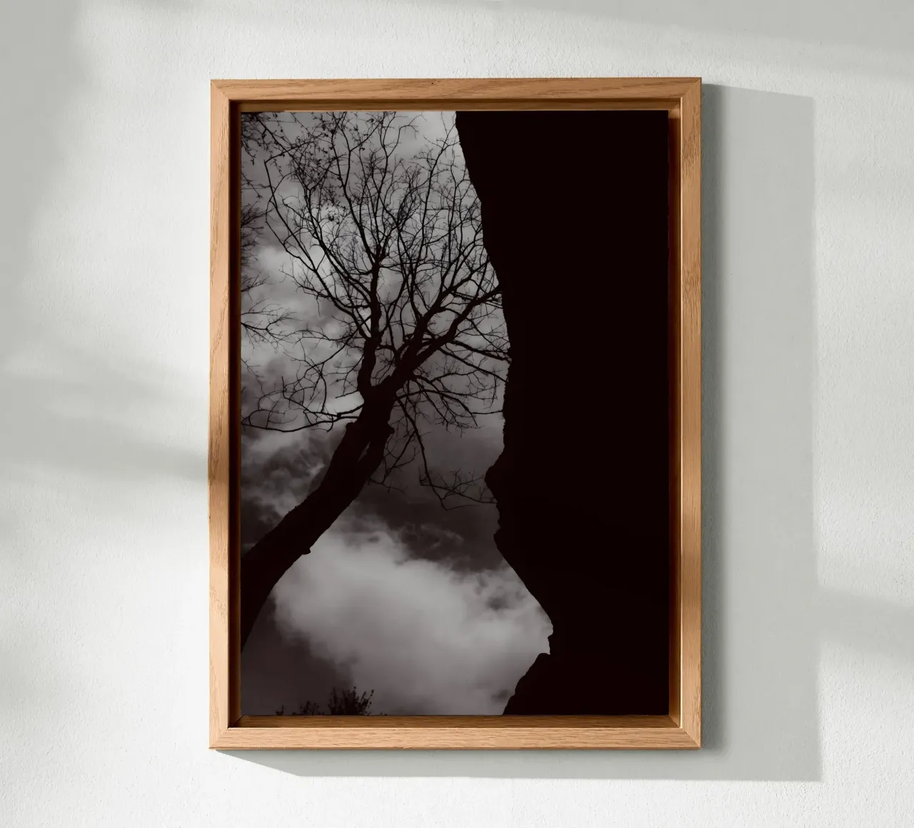 Albero nodoso in una silhouette drammatica alluminio dibond da NA/MO