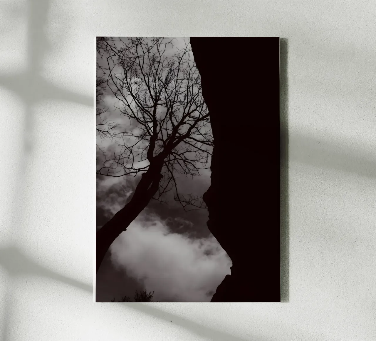 Albero nodoso in una silhouette drammatica tela da NA/MO